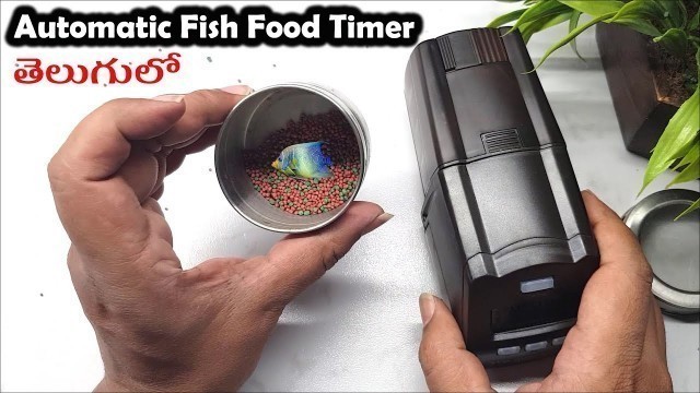 'Aquarium Tank Auto Fish Food Timer Feeding Dispenser Adjustable Outlet Unboxing and how to Use'