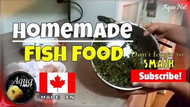 'Homemade Fish Food | Preparing Food For Cichlids & Goldfish'