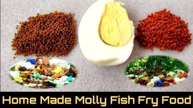 'How To Make Molly Fish Fry Food At Home'
