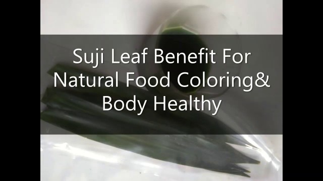 'Suji Leaf Benefit For Natural Food Coloring and Body Healthy'