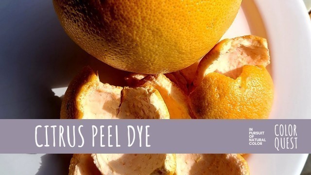 'HOW TO MAKE NATURAL DYE WITH CITRUS PEEL | ORGANIC COLOR | YELLOW'