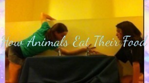 '#tbt - How Animals Eat Their Food'