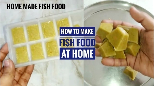 'HOME MADE FISH FOOD | #DIY_FISH_FOOD  AT HOME | DIY FISH FOOD FOR OUTDOOR POND OR AQUARIUM FISH'