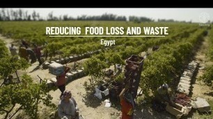'Reducing Food Loss and Waste - Egypt'