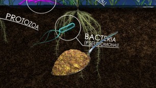 'The Living Soil: How Unseen Microbes Affect the Food We Eat (360 Video)'