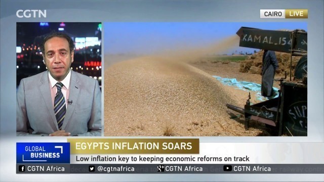 'Egypt Inflation Concerns: Food prices have risen by more than 40%'