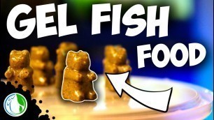 'DIY GEL FISH FOOD - HOMEMADE REPASHY GUMMY BEAR FISH FOOD!'