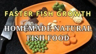 'Homemade Fish Food for Goldfish | Best food  for goldfish to grow your fishes faster'