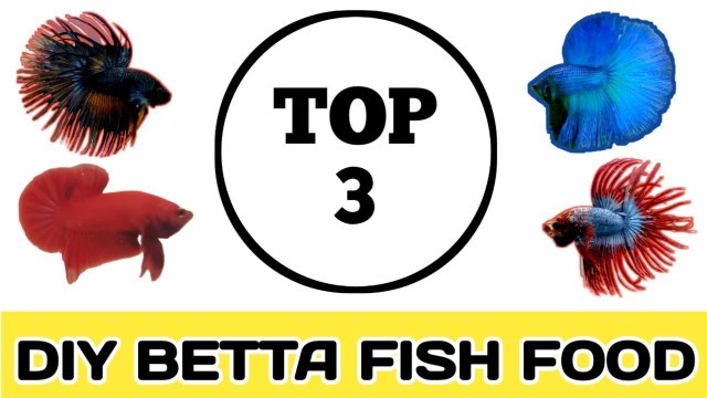 '3 BEST HOMEMADE BETTA FISH FOOD, NO LIVE FOODS, RAPID GROWTH (diy)'