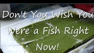 'DIY Frozen Gel Fish Food'