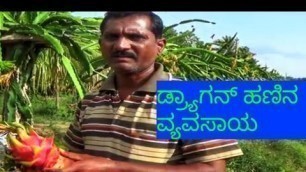 'ಡ್ರ್ಯಾಗನ್ ಹಣಿನ ವ್ಯವಸಾಯ-Complete Information of Dragon Fruit Cultivation karnataka'