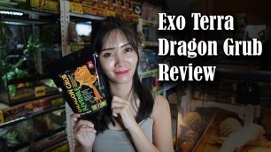 'Exo Terra Dragon Grub Review | Bearded Dragon Food'