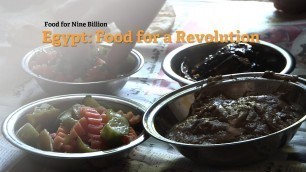 'Egypt: Food for a Revolution'