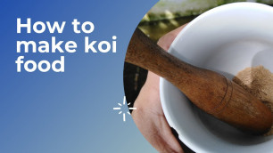 'How to make koi food'