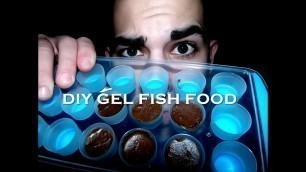 'HOW TO: Make DIY Gel Fish Food'