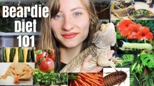 'What to Feed Bearded Dragons'