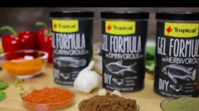 'Tropical Gel Formula - fish food in the form of DIY gel'