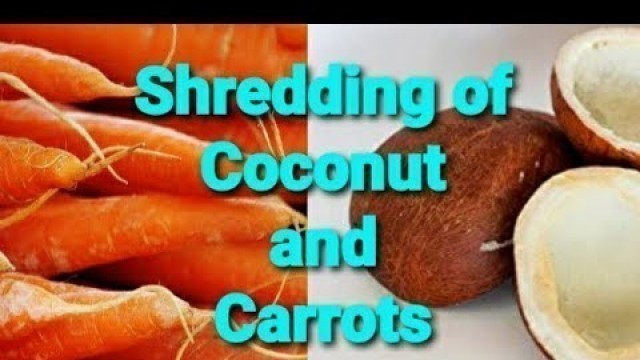 'Coconut Scraping and Carrot Shredding with My Morphy Richards Icon Superb Food Processor'