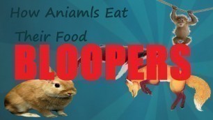 'How Animals Eat Their Food | BLOOPERS!'