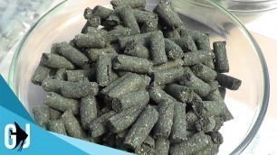 'How Spirulina Fish Food is Made - Agcore Technologies Greenhouse Tour'