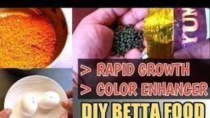 'BETTA FISH FOOD FOR RAPID GROWTH AND COLOR ENHANCER|  DIY BETTA FISH FOOD WITH EGG AND SPIRULINA'