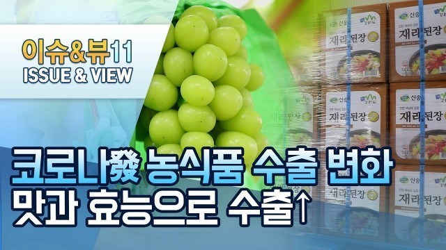 '[코로나發 농식품 수출 변화] ①위기에 강한 K-Food…수출 키워드는 \'맛+효능\' / 머니투데이방송 (뉴스)'