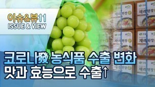 '[코로나發 농식품 수출 변화] ①위기에 강한 K-Food…수출 키워드는 \'맛+효능\' / 머니투데이방송 (뉴스)'