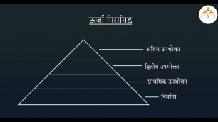 'Sketching/Drawing/Constructing the food chains - हिंदी'