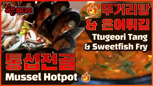 '통섭전골과 뚜거리탕 | 얼큰비디오 K-FOOD MUKBANG Mussel hotpot VS Ttugeori tang & Sweetfish fry'
