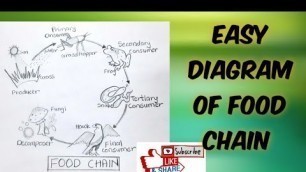 'How to draw easy food chain diagram step by step'