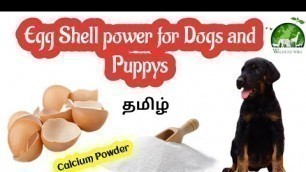'How to make Egg shell powder for dogs Tamil | Egg shell Calcium Powder in dogs and Puppy food Tamil'
