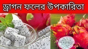 'ড্রাগন ফলের উপকারিতা //Dragon fruit benefits in bangla 2018'