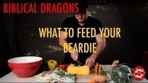 'Best Food for Bearded Dragons'