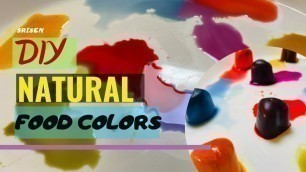 'DIY NATURAL FOOD COLORS in tamil | Organic Food colors| Natural Food Color Dyes'