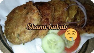 'chicken shami kabab recipe|by food gallery shahzadi'