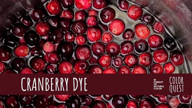 'HOW TO MAKE NATURAL DYE WITH CRANBERRY | ORGANIC COLOR | PINK'