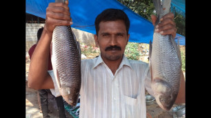 'fish fry Village Style Fish fry |  my Village  by village food gallery'
