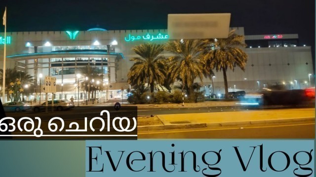 'അബുദാബിയിലെ ഒരു വൈകുന്നേരം / Evening Vlog / Abudhabi / Mushrif Mall / Camel / shas food gallery'
