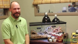 'Bearded Dragon Diet and Nutrition : Fluker Farms'