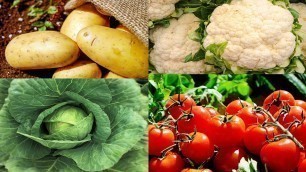 'Top 10 Vitamin C Rich Vegetables in Tamil|Tamil|Top 10 Vitamin C Rich Foods  in TamilTamilneithal