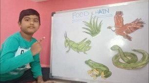 'what is a food chain ? food chain for kids | environmental science | educational videos for kids'