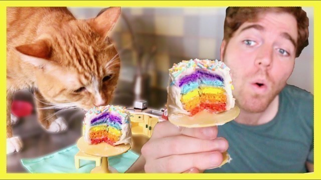 'MAKING A TINY CAKE FOR MY CAT'