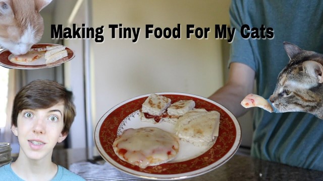 'Making Tiny Food For My Cats (Shane Dawson Remake)'