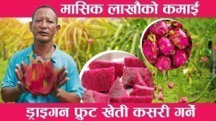 'लाखौ कमाउन सकिने dragon fruit को खेति dragon fruitको खेति कसरि गर्ने ll dragon fruit in Nepal'