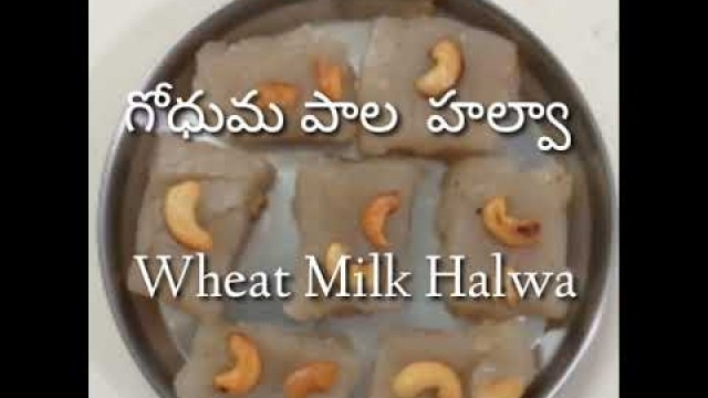 'WHEAT MILK HALWA || గోధుమ పాల హల్వా || SIRIS FOOD GALLERY||'