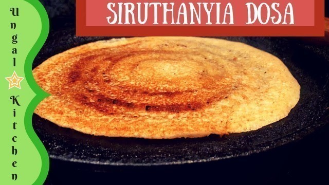'Siruthaniya Dosa in Tamil / Millet Dosa Recipe / Protein Rich Healthy Dosa Recipe- Ungal Kitchen'