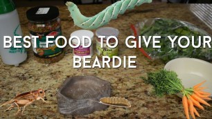 'Bearded Dragon Care: Feeding and Diet'