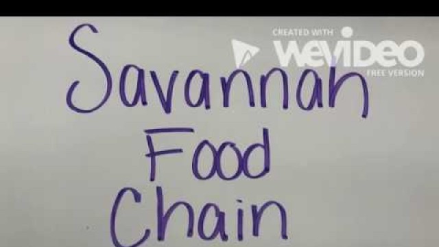 'Video Project (Digital Imaging) - Savannah Food Chain'