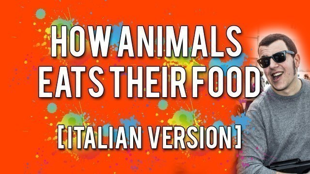 'How Animals Eat Their Foods ... o quasi ...'