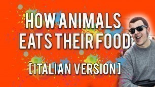 'How Animals Eat Their Foods ... o quasi ...'